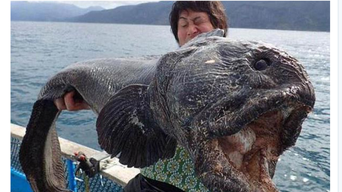 Hirasaka Hiroshi podczas połowu ryb nieopodal Fukushimy trafił na niecodzienny okaz. Zdjęcie zmutowanej ryby zamieścił na Twitterze - podaje "Daily Mail".