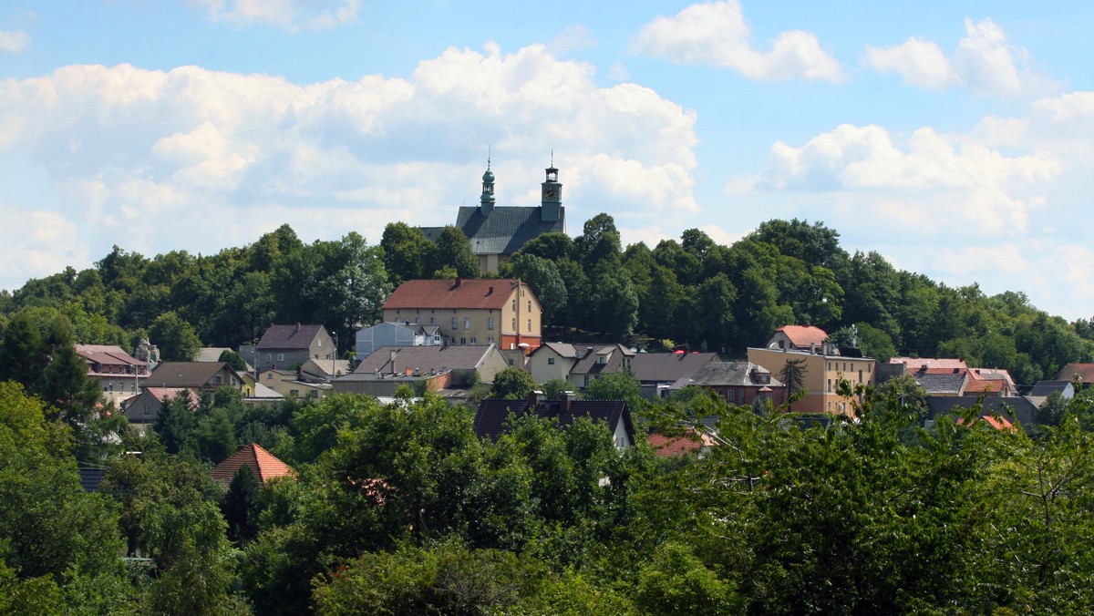 Blisko trzysta osób z województw opolskiego i śląskiego uczciło przed pomnikiem Czynu Powstańczego na Górze św. Anny 96. rocznicę najkrwawszej bitwy III powstania śląskiego.