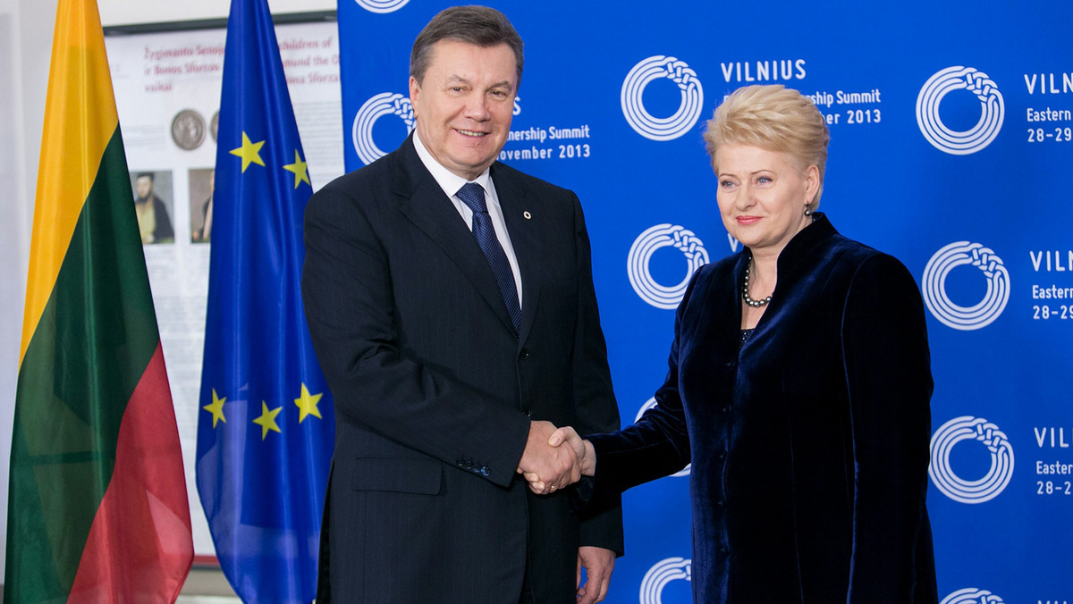 Unia Europejska i Ukraina mają potwierdzić na szczycie Partnerstwa Wschodniego w Wilnie zamiar podpisania umowy stowarzyszeniowej - wynika z projektu deklaracji końcowej wileńskiego szczytu.