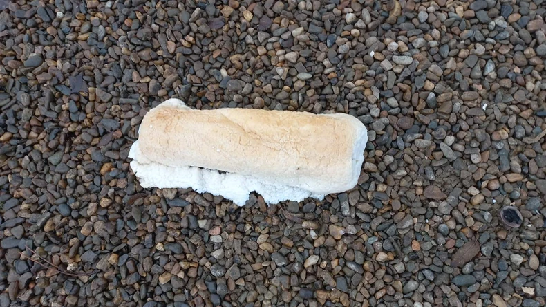 Time se privlače pacovi i druge štetočine