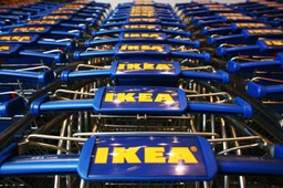 Wiceszef MS o zwolnieniu pracownika sieci IKEA: Skandaliczne działanie, łamanie wolności sumienia