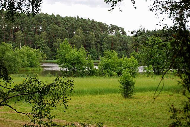 Galeria Polska - Bory Tucholskie, obrazek 31