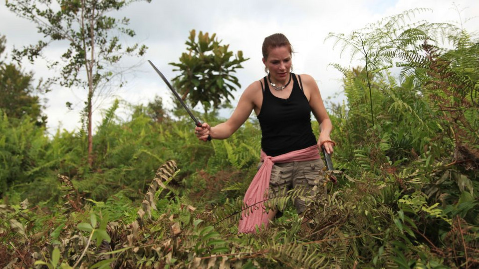 "Ratujmy zielone płuca Ziemi”: Ania Dereszowska i Pascal Brodnicki na Borneo