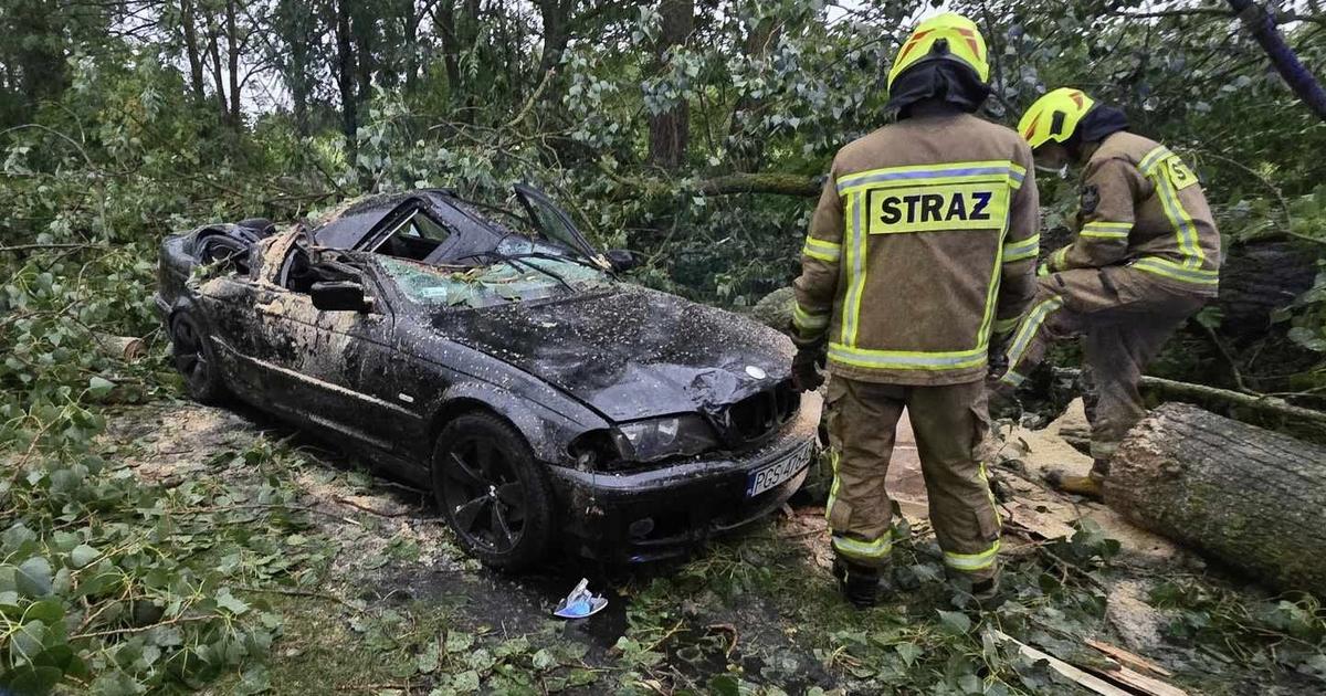  Drzewo runęło na BMW z kierowcą. Wyjaśniamy, co z odszkodowaniem