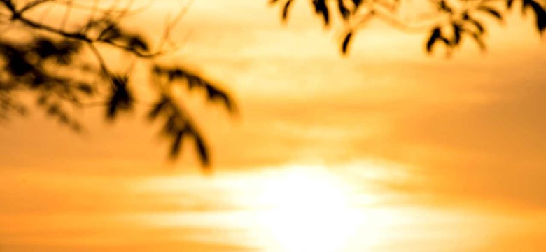 Rekordowe temperatury. Najgorętsze lato i 2. najcieplejszy rok w historii Europy
