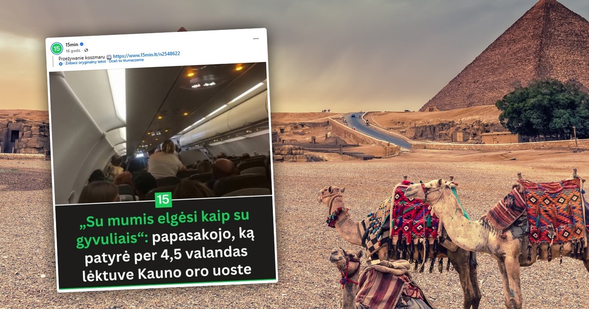 Koszmarny powrót z wakacji w Egipcie. Turyści wściekli. "Traktowano nas jak zwierzęta"