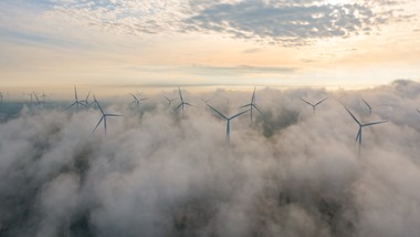 to koń trojański zielonej rewolucji. nato ostrzega ue