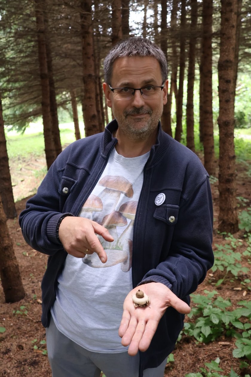 Koniec sezonu na grzyby? Ekspert o nadchodzącej jesieni.