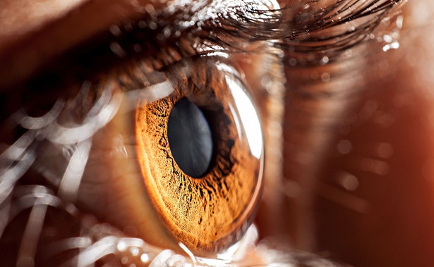 Jak dbać o oczy, zapobiec wadom wzroku? Proste zasady