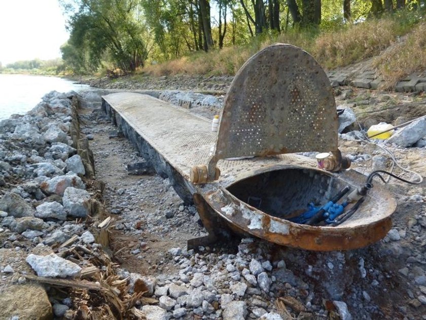 Skarby trafiły do muzeów