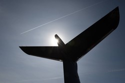 Katastrofa samolotu w Nevadzie. Nikt nie przeżył