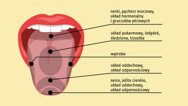 Co język mówi o twoim zdrowiu? Te zmiany powinny cię zaniepokoić [INFOGRAFIKA]