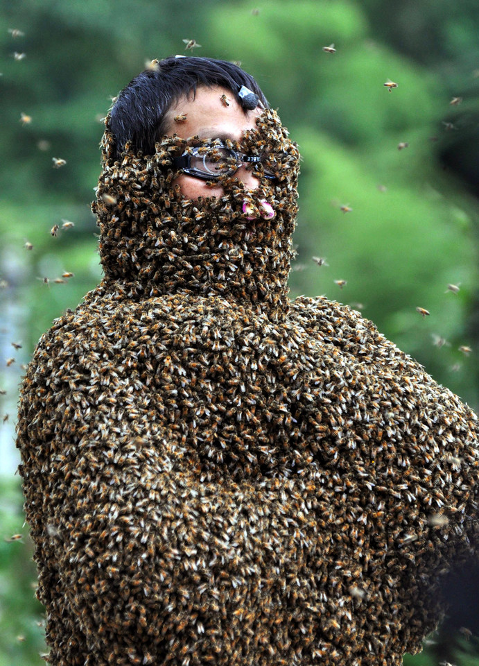 'Bee Bearding' Contest In Hunan