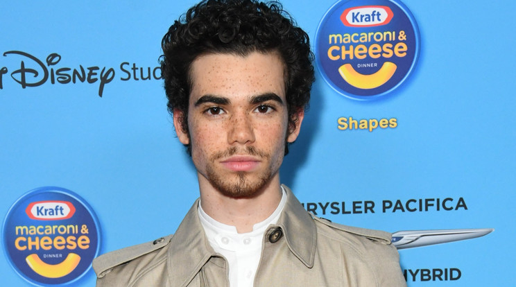 Komoly betegsége volt Cameron Boyce-nak /Fotó: Epilepsziás volt Cameron Boyce