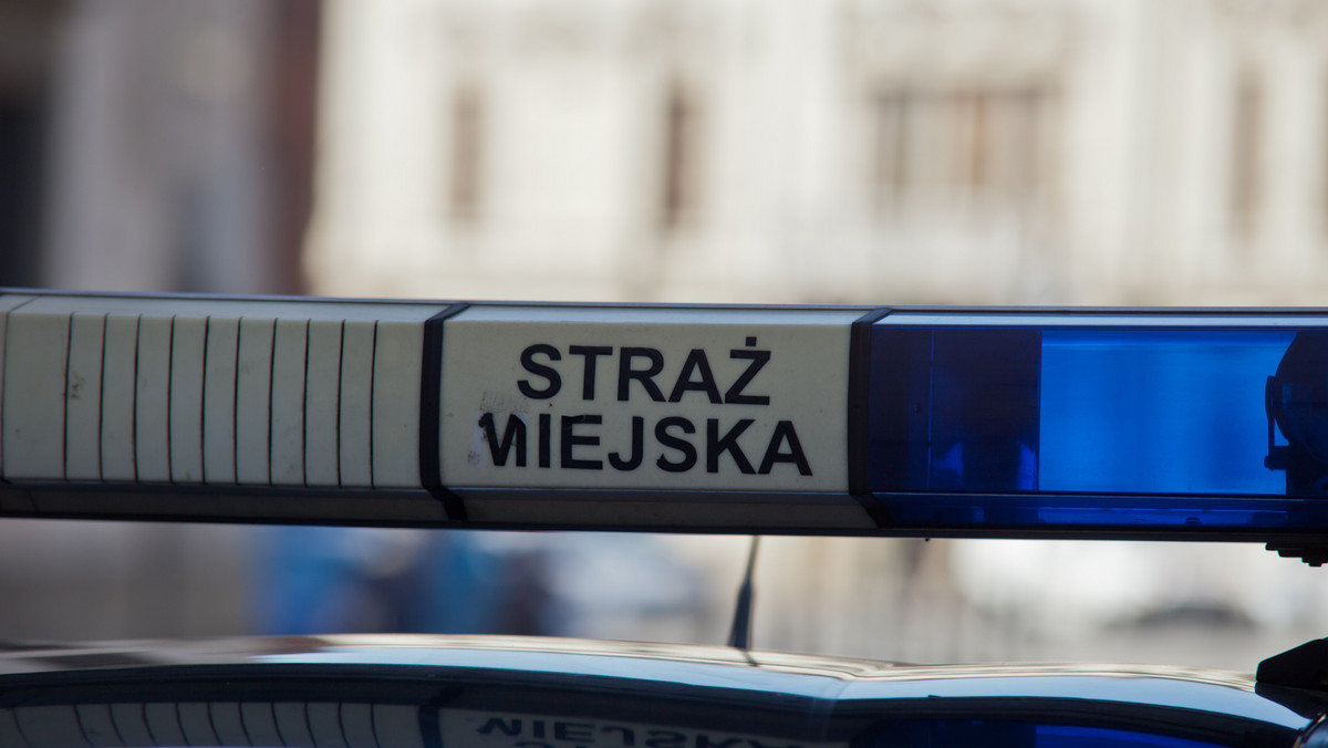 Ośmiu członków zorganizowanej grupy przestępczej zostało zatrzymanych przez policjantów Centralnego Biura Śledczego. Wśród grupy pseudokibiców tyskiego klubu piłkarskiego znalazł się strażnik miejski z Tychów.