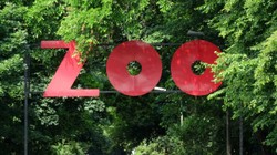 Ogrody przetrwania. Czy ZOO należy uznać za relikt przeszłości?