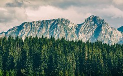 Wycieczka szkolna pomazała wejście na Giewont. 'Tego nie można zmyć środkami chemicznymi'
