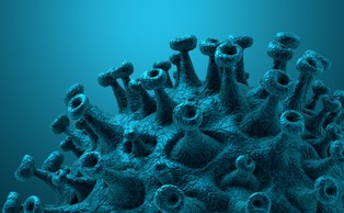 Przeciwciała SARS-CoV-2 mogą szybko znikać z organizmu [BADANIA]