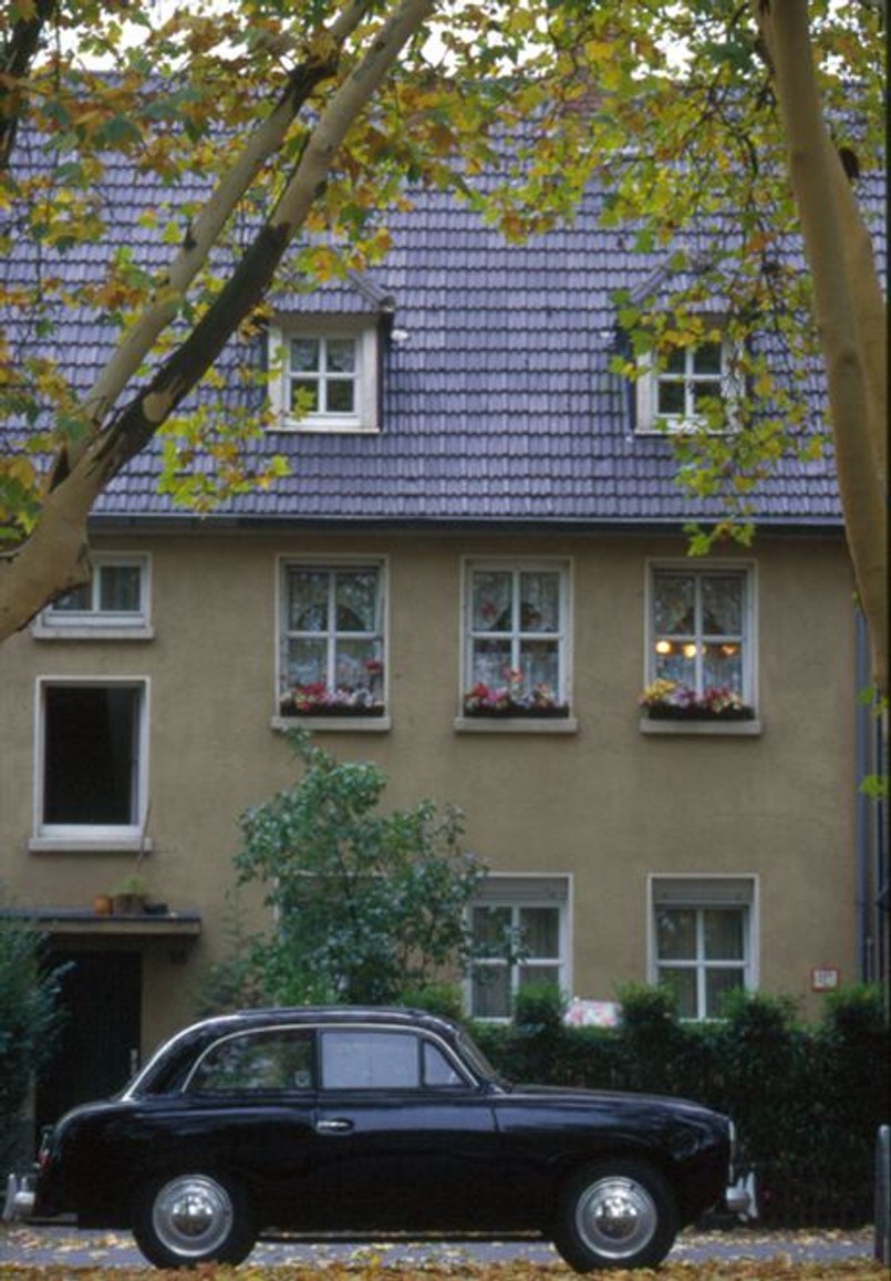 Historia małego Goliatha