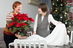 Zobacz, jakie kwiaty doniczkowe będą idealne na święta