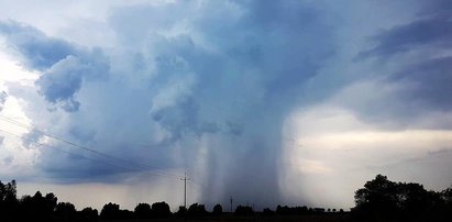 Gdańsk po nawałnicy. Zalane ulice, zerwane dachy i połamane drzewa