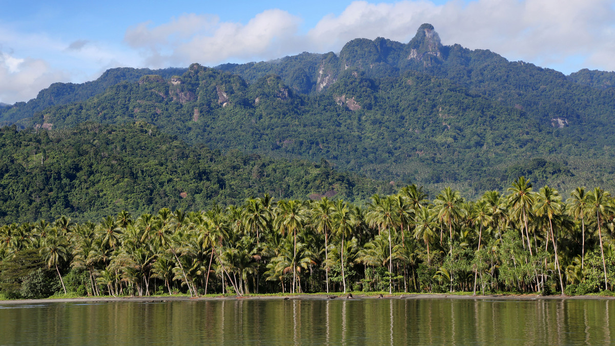 Wyspa Bougainville'a (Papua-Nowa Gwinea) wybrała niepodległość w referendum