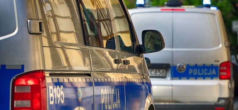 Potrącenia pieszego na A2. Nie żyje 75-latek