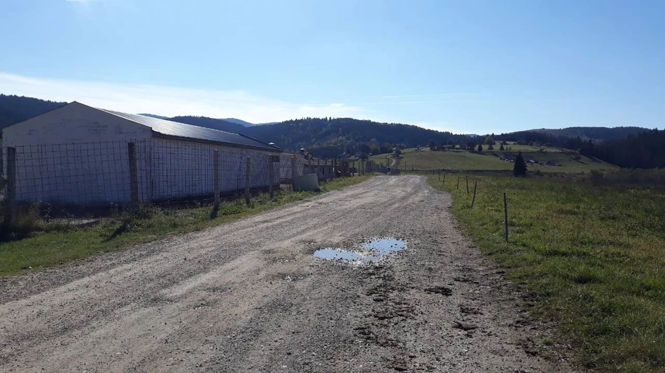 Ulica na kojoj je pijanac pregazio sina svog prijatelja