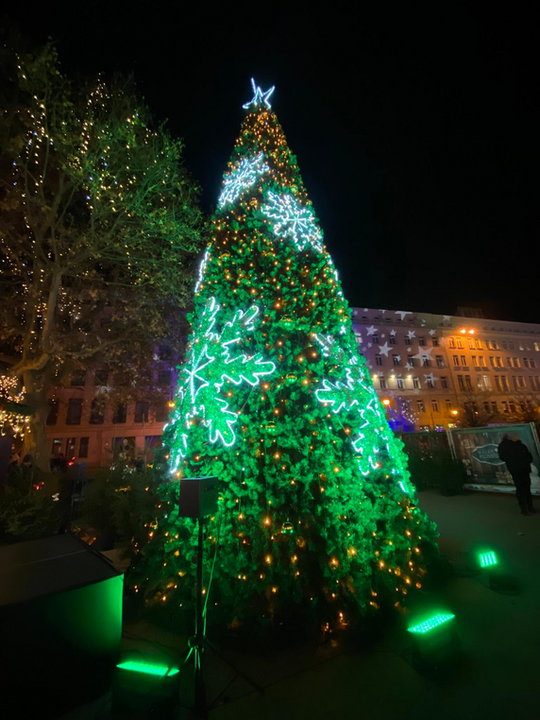 uroczyste rozświetlenie choinki na Placu Wolności w Poznaniu fot. Codzienny Poznań