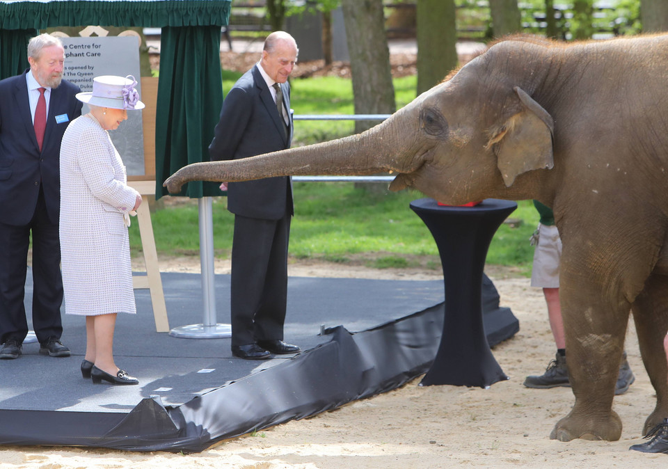 Królowa Elżbieta II w londyńskim ZOO