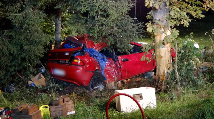 A fának csapódott kocsiban hat magyar ült /Fotó: AFP