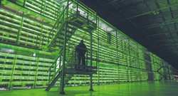 Zmierzch samotnych górników. Czas na wielkie kopalnie kryptowalut