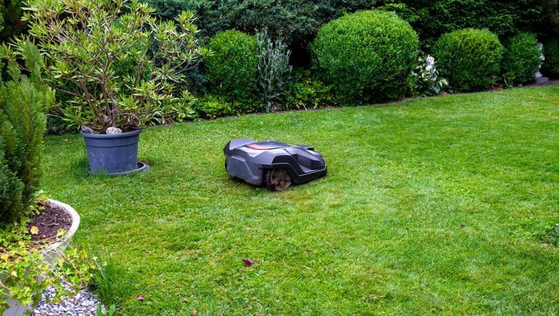 Beliebte Rasenmähroboter mit und ohne Begrenzungsdraht im Vergleich