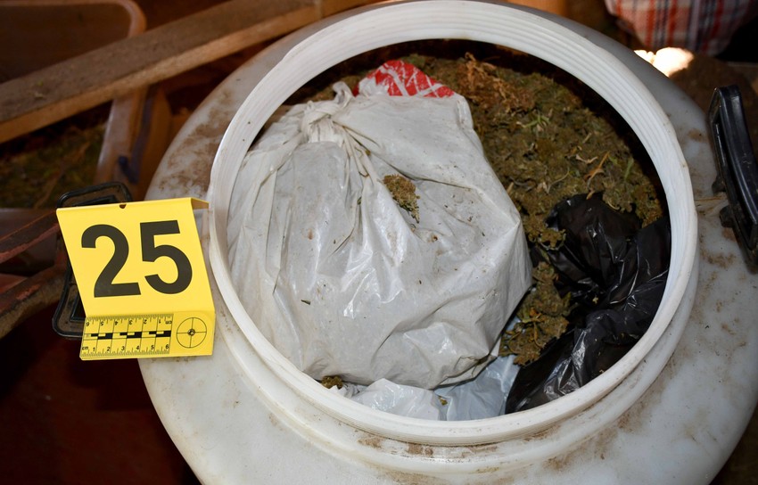 Pronađena marihuana u Vranju 