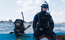 Nasienie Marka Wahlberga pilnie potrzebne