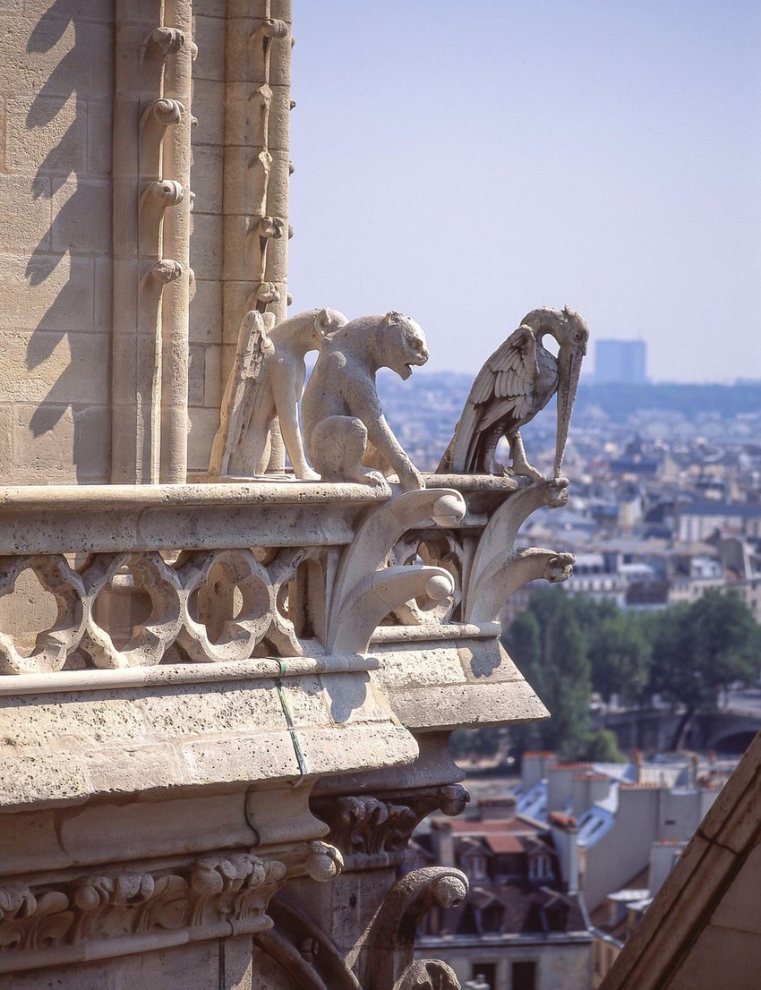 Gargojli na katedrali Notr Dam