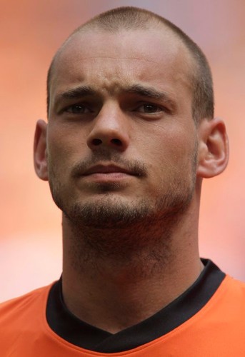 Wesley Sneijder, Holandia