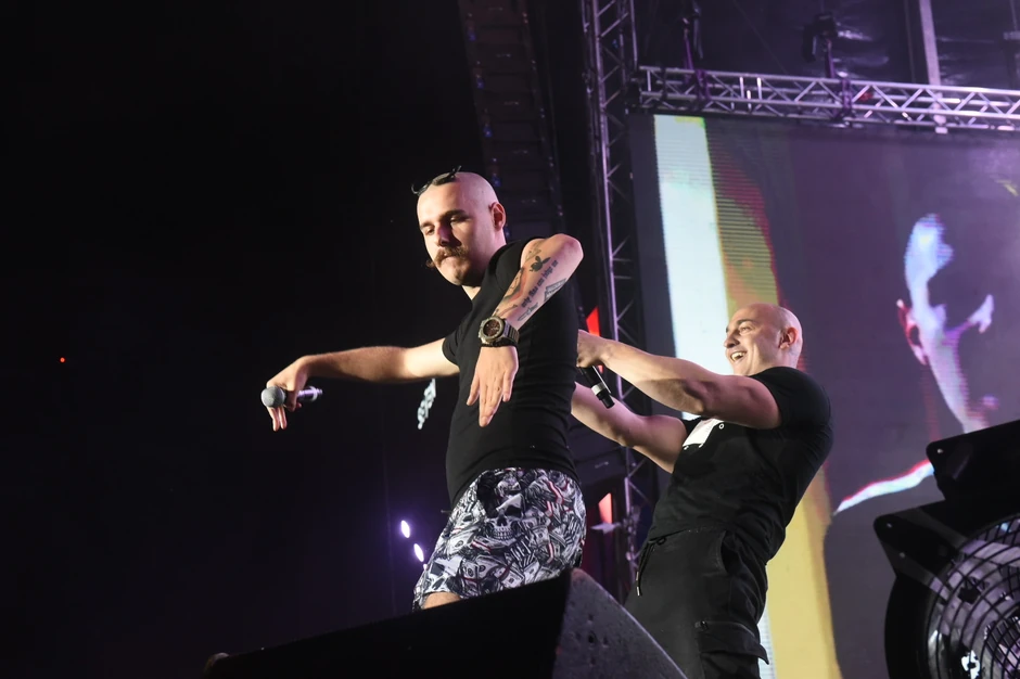 Pljugica, Desingerica