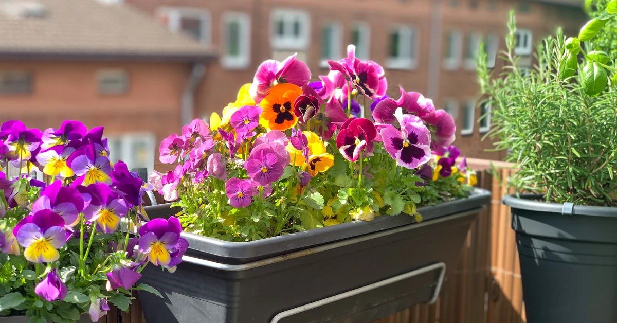 Sąsiad ciągle zalewa Twój balkon? Sprawdź, co możesz zrobić i jakie masz prawa