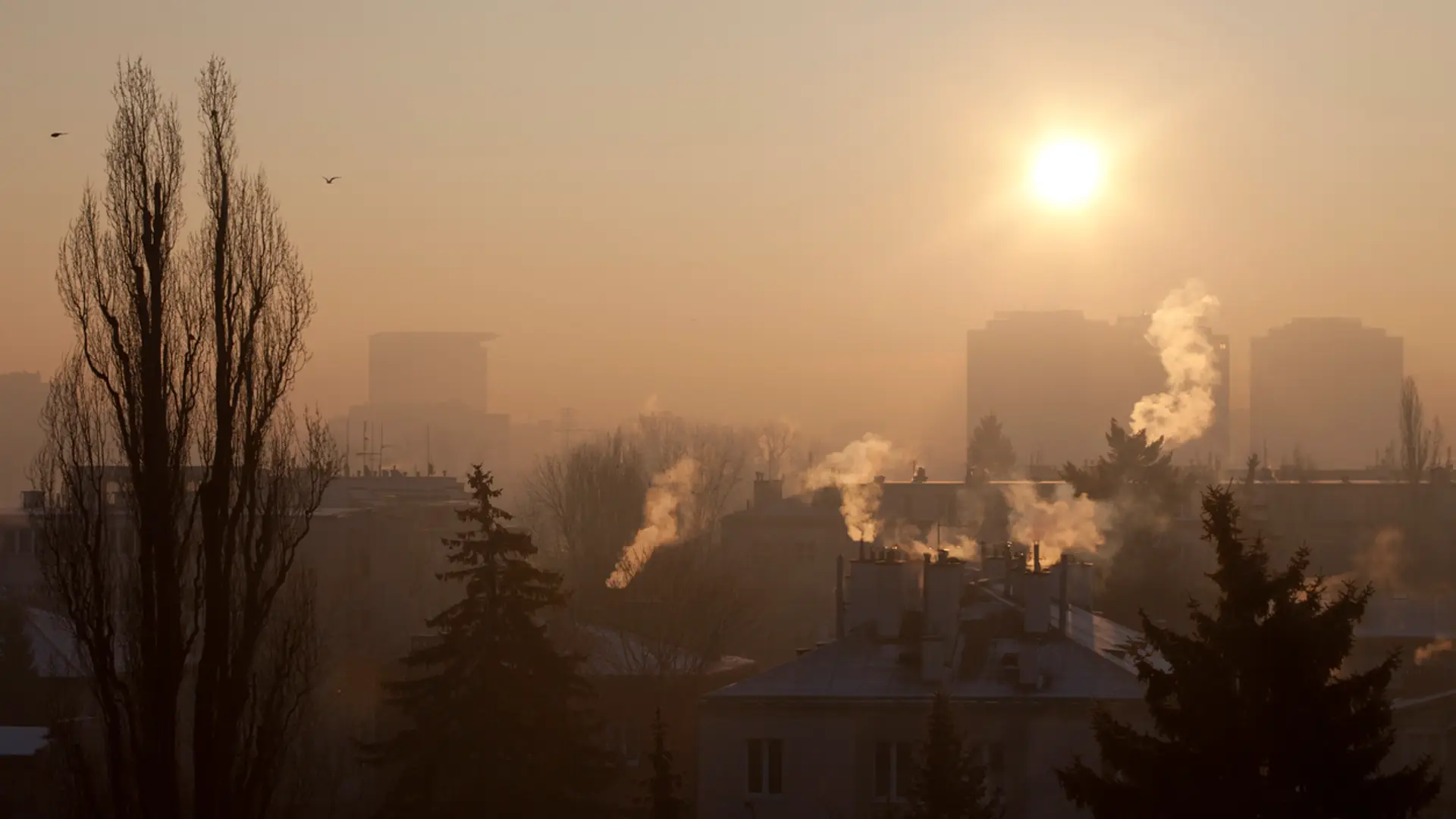 Tych kilka zmian wystarczy, żeby zmniejszyć smog w polskich miastach