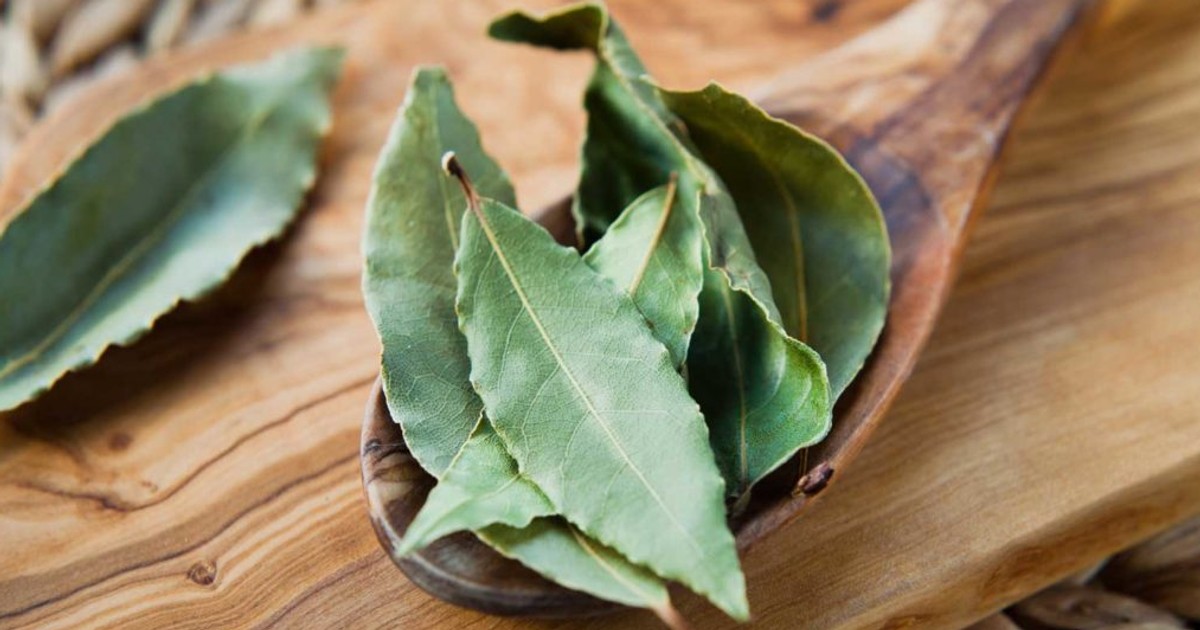 5 things you should know when cooking with bay leaves Pulse Ghana