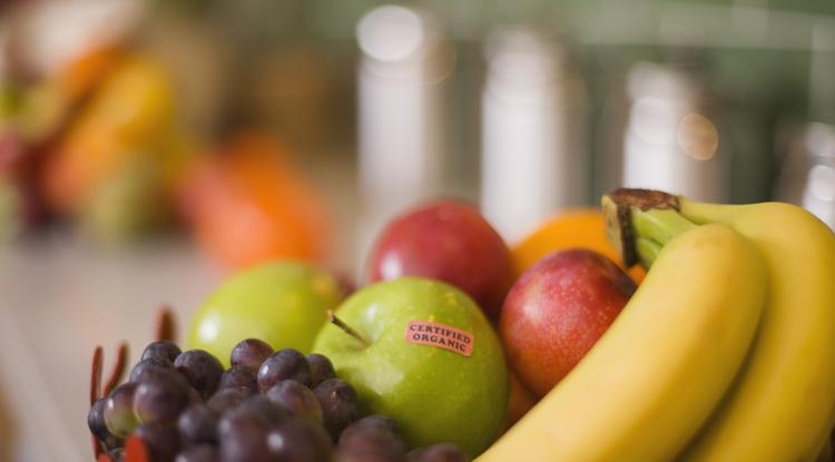 Csodát tesz az ecet a gyümölccsel: mindent áztass ebbe a keverékbe Fotó: Getty Images