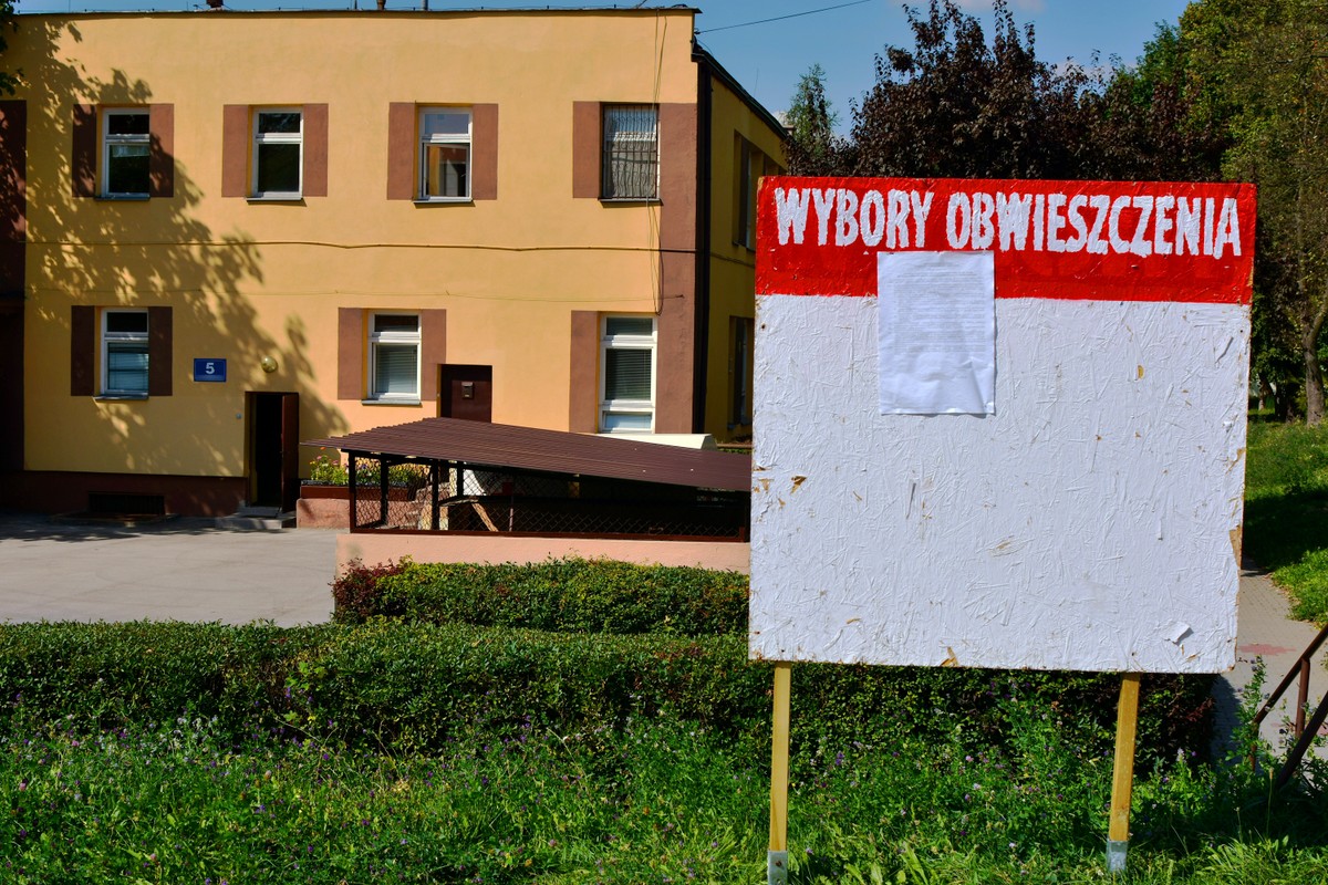 Wybory