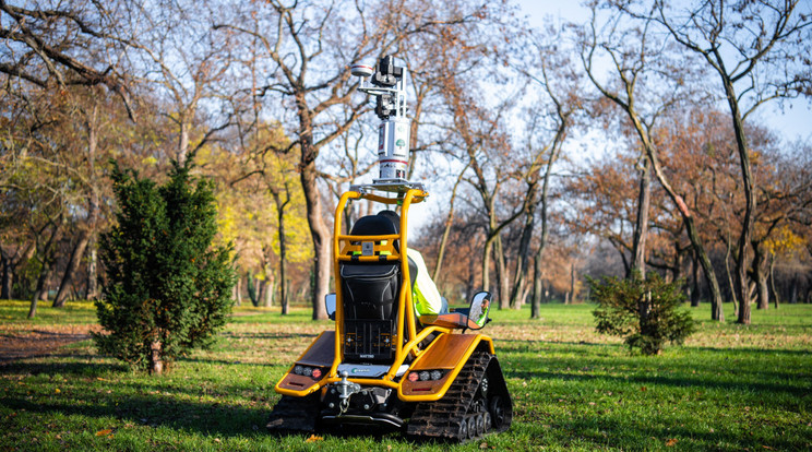 A Mattro Rover a budapesti Népligetben méri fel a faállomány állapotát. A városi zöldterületek megőrzése elengedhetetlen a klímaváltozás hatásai elleni védekezésben, az emberek életminőségének fenntartásában, sőt javításában. / Fotó: Ruzsa Rania/Budapest Főpolgármesteri Hivatal
