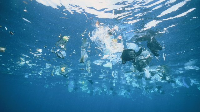 Pár év múlva már több lesz a műanyag a tengerben, mint a hal