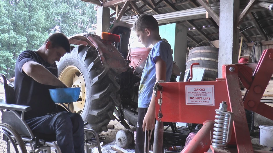 Ostao je invalid tokom seče stabala u šumi