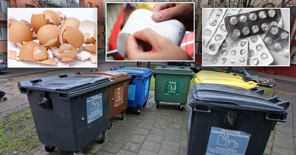 Myślicie, że znacie zasady segregacji odpadów? Ten quiz udowodni, jak bardzo się myliliście