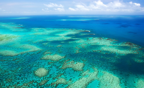 Wielka Rafa Koralowa, Australia