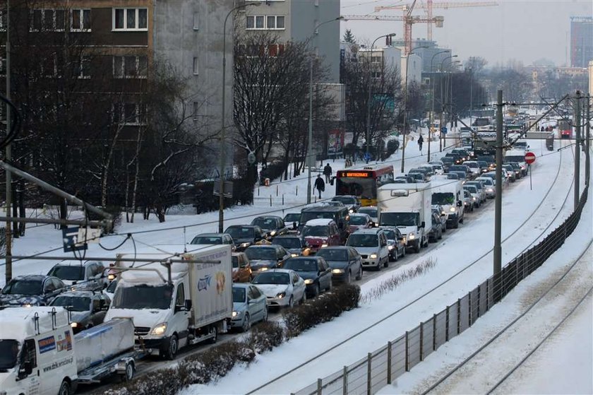 Zima będzie ciężka. Polarny dzik wyszedł z lasu