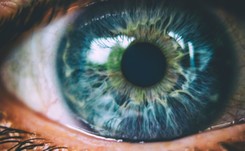 Nadmiar światła niebieskiego jest szkodliwy dla oczu